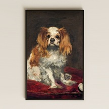 Manet King Charles Köpeği Pvc Tablo - Klasik Hayvan Portresi