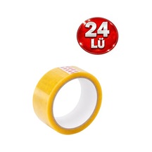 24 Adet