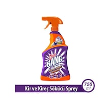 Sprey Kireç Ve Kir 750ml 1 Adet