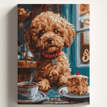 Sayılarla Boyama Tuval Hobi Seti, Süs Köpeği Pasta 2 Temalı Fırça Ve Boya Dahil Set Çıtalı 40x50 Cm, Kendin Diğer