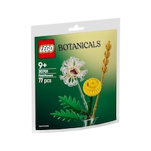 Tarla Çiçekleri 30701