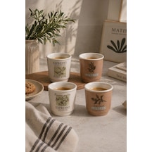 Akayev Art 4lü Espresso Bardağı Çok Renkli