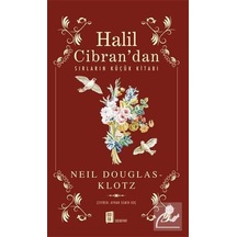 Halil Cibran'dan Sırların Küçük Kitabı - Neil Douglas Klotz - Mona