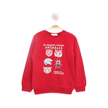 Toontoy Kids Toontoy Erkek Çocuk Relax Fit Bisiklet Yaka Animal Baskılı Sweatshirt - 2 İplik Bordo