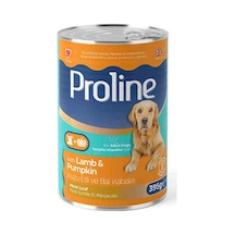 Parça Kuzu Etli Ve Bal Kabaklı Pate Yetişkin Köpek Konservesi 395 Gr
