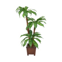 Bodur Yapay Ağaç Cordyline 105 Cm Model 1