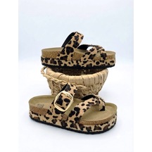 Leopar