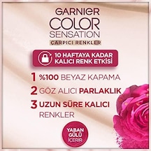 Çarpıcı Renkler Yoğun Kalıcı Saç Boyası No 6.0 Yoğun Koyu Kumral