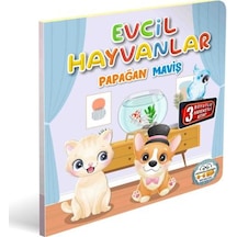 Evcil Hayvanlar Papağan Maviş 3 Boyutlu
