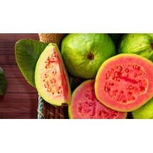 2 Yaş Guava Fidanı