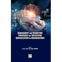Management and Marketing Strategies for Successful Digitalizat...