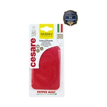 Cesare Kart - Oto Araç Kokusu, Asma Kart Kokusu - Pepper Mint