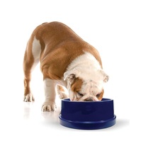 K&h 772550 Evcil Hayvan, Köpekler Ve Kediler İçin Serinletici İçecek Kabı - 2,7 Litre