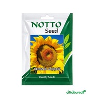 Notto Seed Çerezlik Ayçiçeği Tohumu 25 G