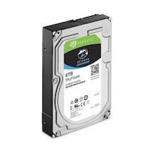 River World 8 Tb Sabit Disk