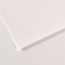 Canson Fon Kartonu Dokulu Mı-teıntes 50x65 160 Gr Whıt 335