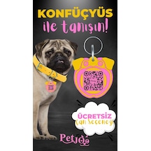 Petjoo 9.Konfüçyüs Pembe-Sarı Qr'lı Köpek Künyesi