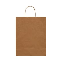 Packanya 20 x 10 x 22 - 200 Adet Burgu Saplı Kraft Çanta