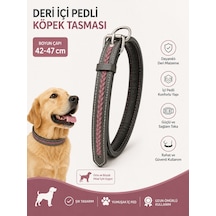 Deri Köpek Boyun Tasması İçi Pedli Örgü Şeritli 42-47 Cm Ayarlanabilir Metal Tokalı - Antrasit Çok Renkli
