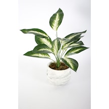 Uzun Yapraklı Yapay Bitki 42 Cm Model-13