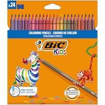 Bıc Kids Evolution Stripes Kuru Boya Kalemi, 24'lü Kutu, Kıymık Oluşturmaz, Çiğnemeye Karşı Dayanıklı, Kolay Açılır 124-Pembe