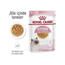 Tr Kitten Jelly Yavru Kedi Yaş Mama 85 Grx12 Ad