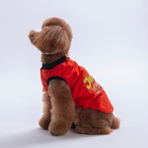 Red-kırmızı Just Smile Tişört Kedi Köpek Tişörtü-kedi Köpek Kıyafeti