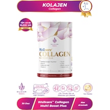 Wellcare Collagen Multiboost Plus Toz Nar Aromalı 345 Gr