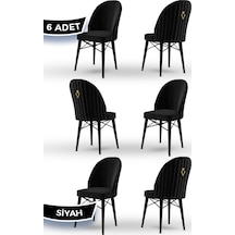 Canisa Ritim Serisi, 1.sınıf Babyface Kumaş, 6 Adet Siyah Sandalye, Siyah Gürgen Ayak, Gold Halkalı Siyah Sandalye Siyah Ayak