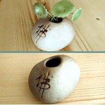 Omeniv Mini Bonsai Saksı + Sukulent Kaktüs Otantik