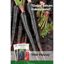 450 Adet Yerli Ata Mor Havuç Tohumu 0.15 KG