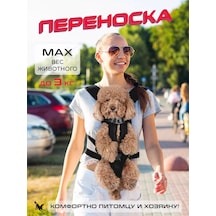 Senkadog Evcil Hayvanlar İçin Taşıma Sırt Çantası 178432302