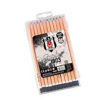 Beşiktaş 12'li Kuru Boya Seti