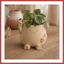 Bezos 3d Baskı Smiley Face Planter - Gülümseyen Karakterli Saksı-bej Erdotıca Standart