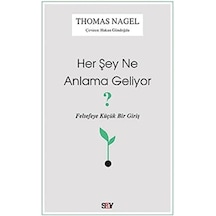 Her Şey Ne Anlama Geliyor : Felsefeye Küçük Bir Giriş