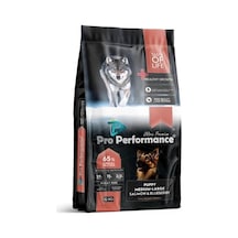 Pro Performance Ultra Premium Orta Büyük Irklar İçin Somonlu ve Yaban Mersinli Yavru Köpek Maması 12 KG