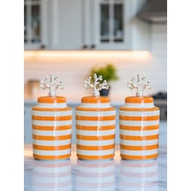 Baharatlık - Seramik Kapaklı 3 Lü Soft Sarı Zebra Gümüş