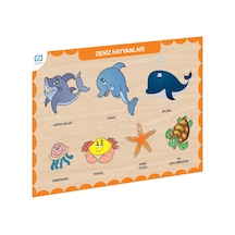 Caahs-3212 Ca Games Ahşap Deniz Hayvanları Bul-tak