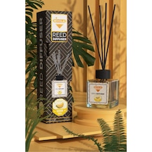 Rivola Çubuklu Koku 100 Ml Kavun Meyve