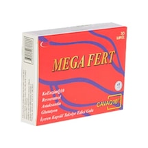 Mega Fert Koenzim Q10 200 Mg 30 Kapsül Diğer