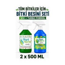 1 L
