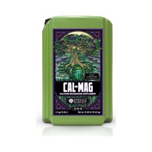 10 L