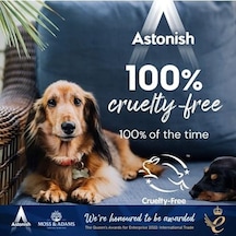 Astonish Air Fryer Temizleyici Sprey 750ml