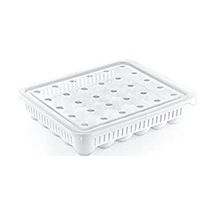 Ayrex Hobby Life 30 Lu Yumurta Saklama Kutusu Diğer