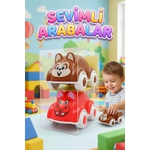 Çok Renkli