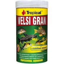 Tropical Welsi Gan 100gr Kovadan Bölme Yem