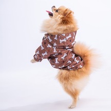Pawstar Stellaos Fileli Köpek Montu Köpek Yağmurluk