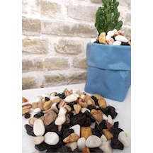 Asenya Renkli Çakıl Taşı 25 Kg 1-2 Cm Saksı Dibi Teraryum Saksı Süs Vazo Dibi Dekoratif Dolomit Taş Diğer