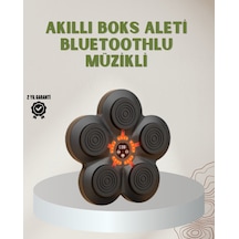 Bluetoothlu Akıllı Boks Antrenman Cihazı Işıklı Hedefli Kardiyo Ve Fitness Aleti - Lisinya