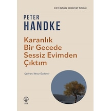 Karanlık Bir Gecede Sessiz Evimden Çıktım - Peter Handke - Sia